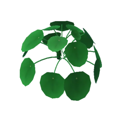Pilea Plant
