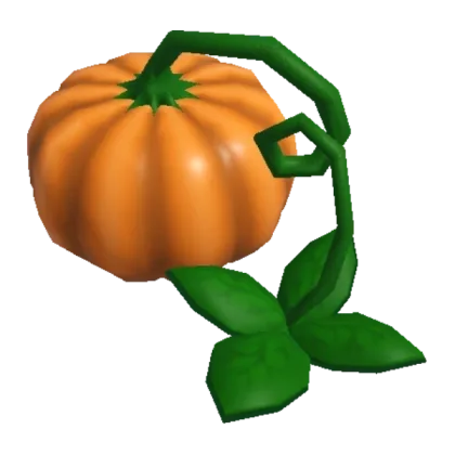 Pumpkin Plant