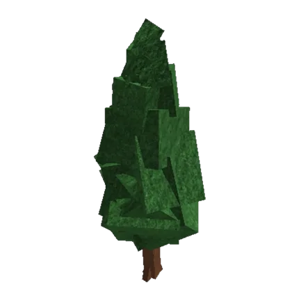 Rough Cypress