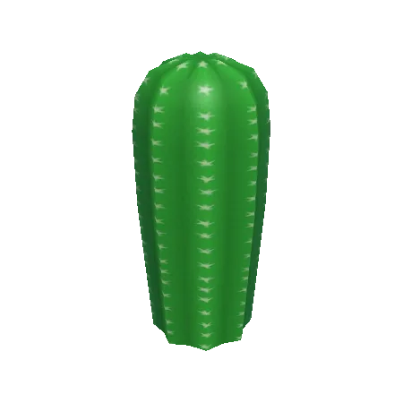 Small Cactus