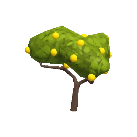 Small Yuzu Tree