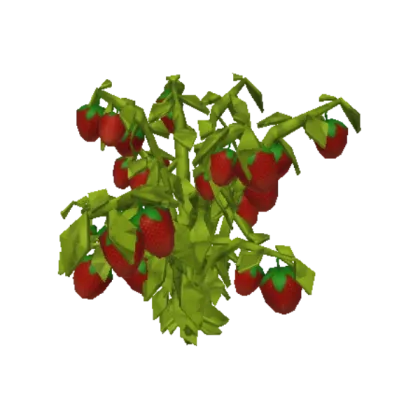 Strawberry Bush
