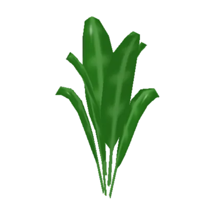 Tall Natural Plant