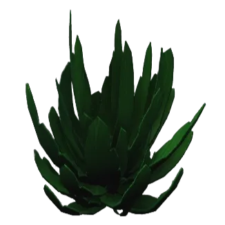Tropical Leaves Plant