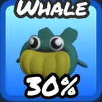 Whale