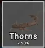 Thorns