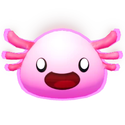 Axolotl