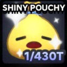 Shiny Pouchy