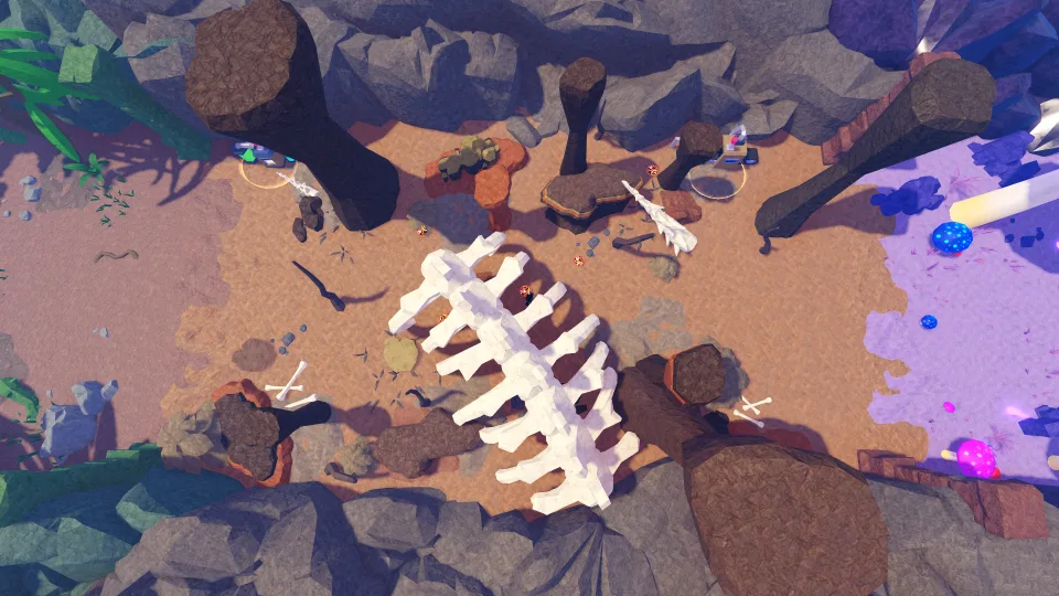Zone 9: Canyon