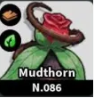 Mudthorn