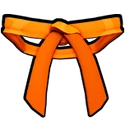Dojo Belt (Orange)