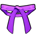 Dojo Belt (Purple)