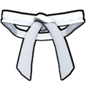 Dojo Belt (White)