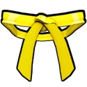 Dojo Belt (Yellow)