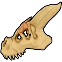 T-Rex Skull