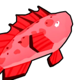 Grouper