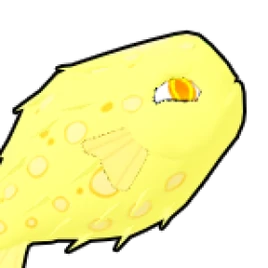 Pufferfish