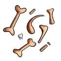 Bones