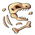 Dinosaur Bones
