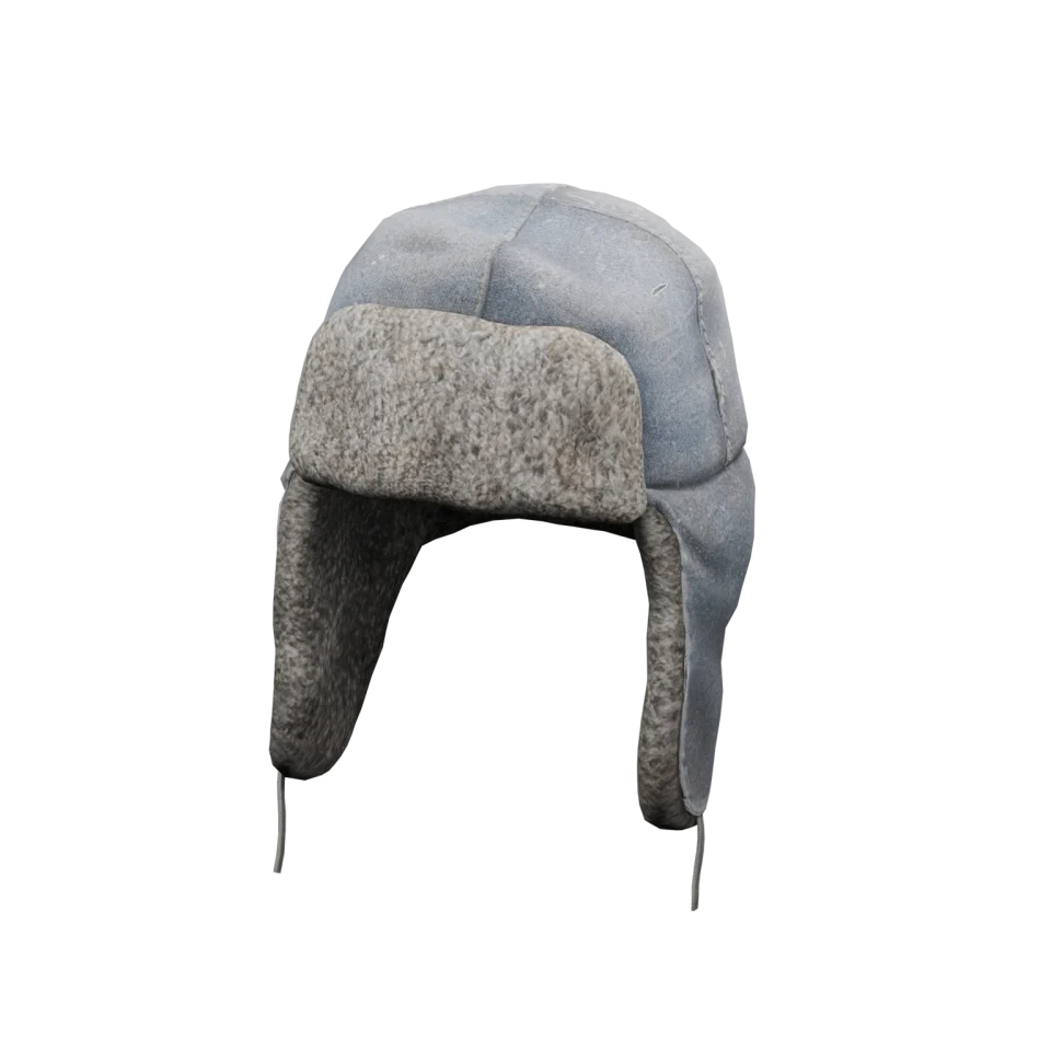 Winter Hat