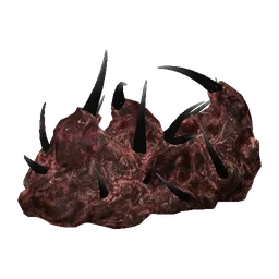 Distorted Chronogene Study
