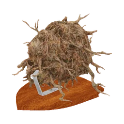 Roots Under the Floorboards