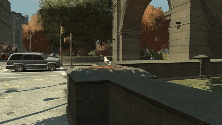 Seagull #10