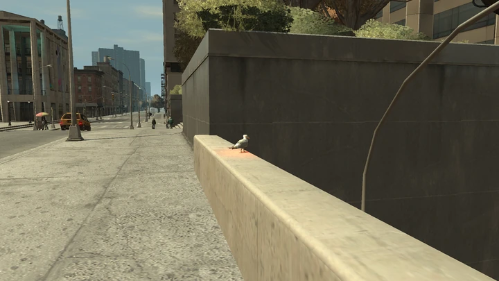 Seagull #13