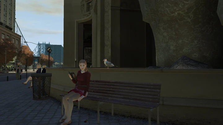 Seagull #19