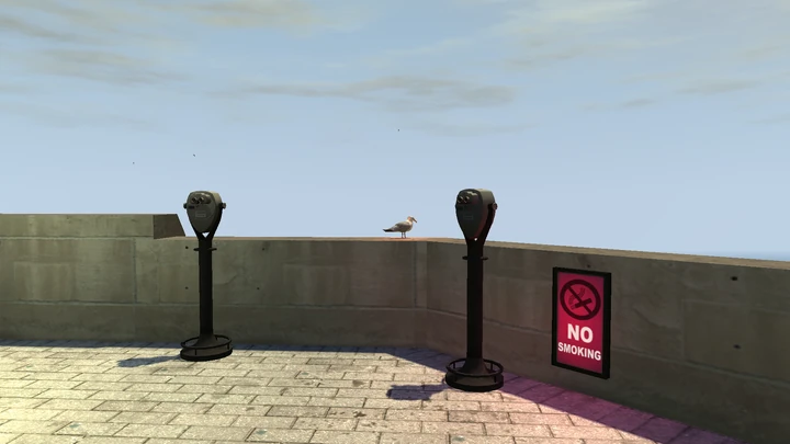 Seagull #25