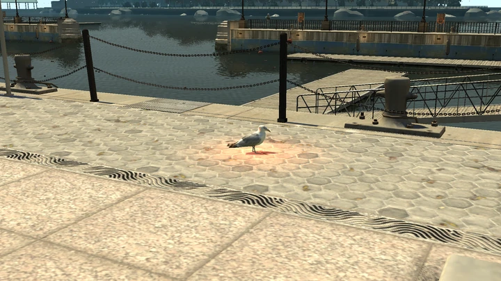 Seagull #33