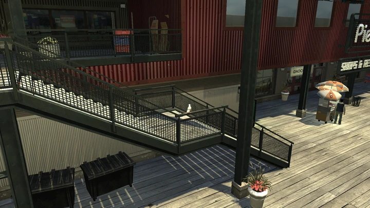 Seagull #36