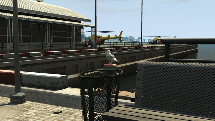 Seagull #38