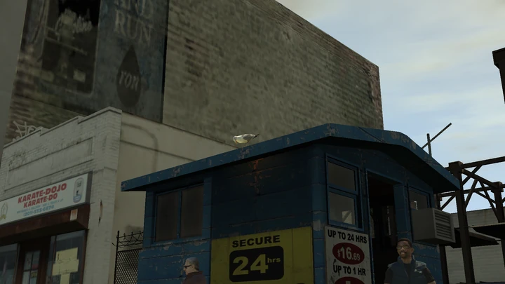 Seagull #41