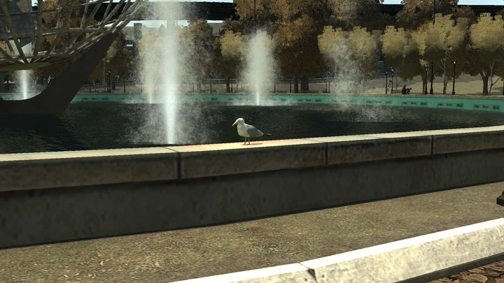 Seagull #47