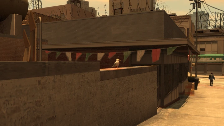 Seagull #7