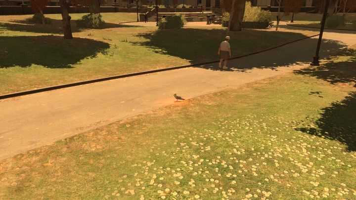 Seagull #21