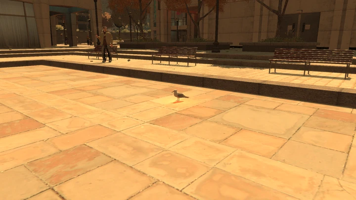 Seagull #22