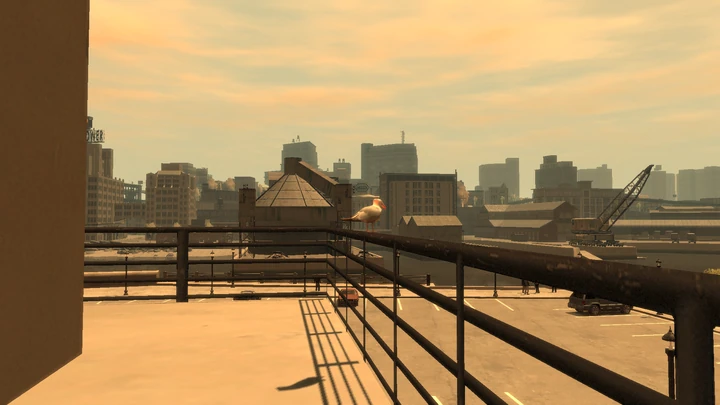 Seagull #28