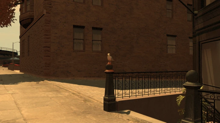 Seagull #34