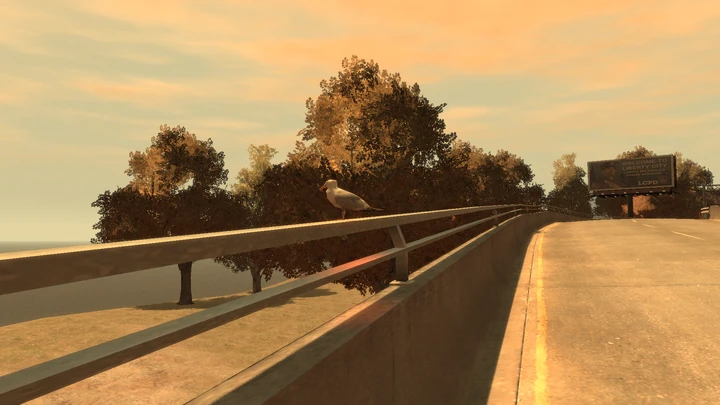 Seagull #37