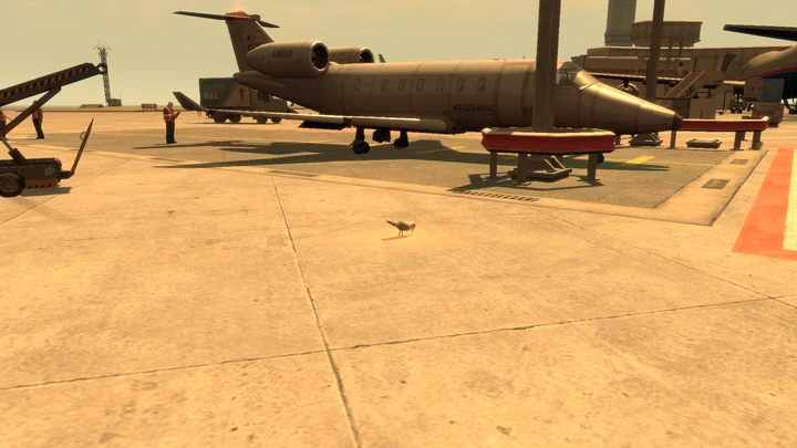 Seagull #38