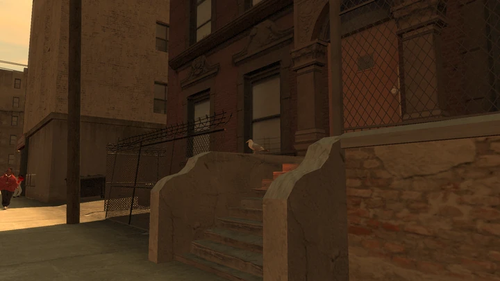 Seagull #50