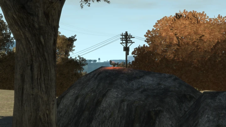 Flying Rat #48