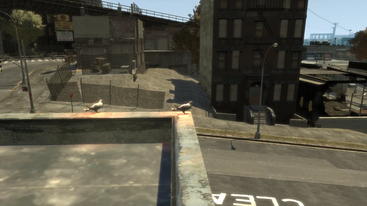 Flying Rat #66