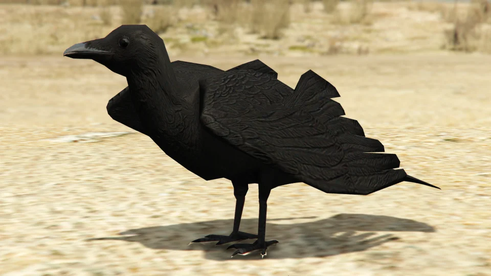 Crow