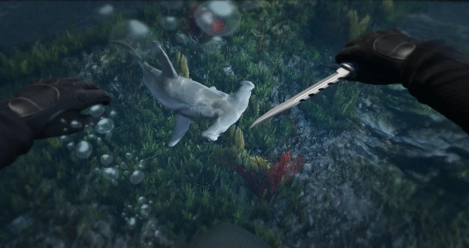 Hammerhead Shark