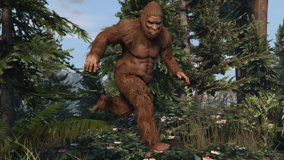 Sasquatch