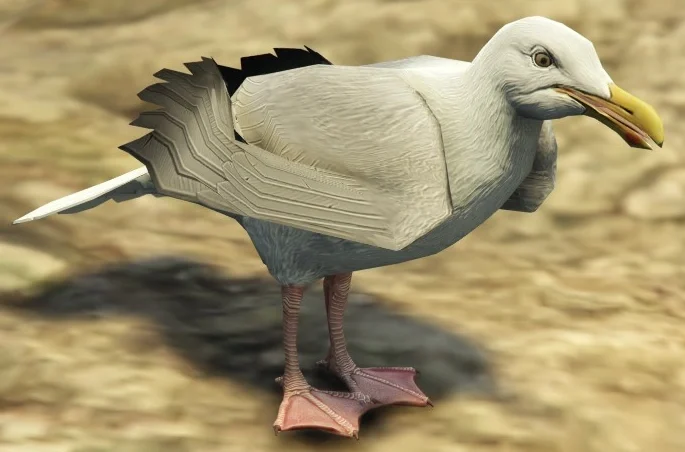Seagull