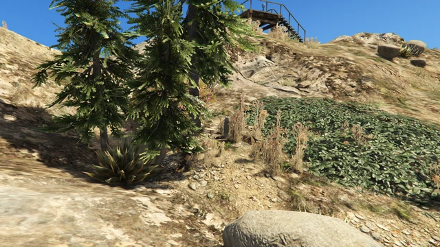 Epsilon Tract #8